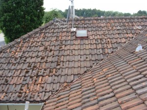 Referenz_Dachumdeckung_4-2