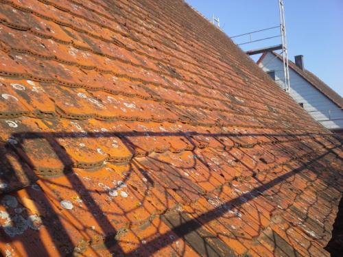 Dachsanierung5